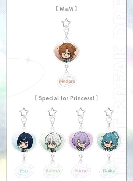 画像9: 【早期予約・2511特典対象】偶像梦幻祭　中国限定　LIMIT BREAKシリーズ　SD串串アクキー　選べる(1)　12種類セット・組み合わせセット（入金〆切3日以内・26年4月中旬発送予定)  (9)