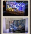 画像6: 【予約】崩壊スターレイル 中国限定 再創世之卷シリーズ アクリルブロック(入金〆切7日以内) (6)
