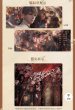 画像7: 【予約】恋与深空　中国限定　優美な彩りシリーズ　ホロチケットセット（入金〆切5月31日・230日ほど発送予定) (7)