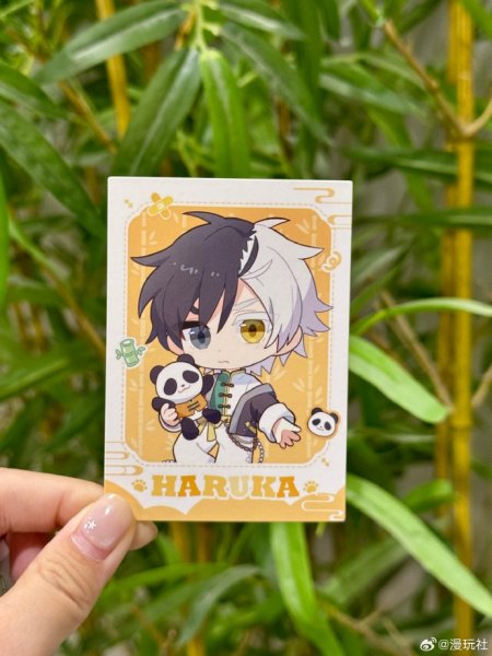 画像5: 【予約】WIND BREAKER　中国限定　星河コラボ　 パンダシリーズ　ポラロイド（入金〆切5日以内・40日ほど発送予定） (5)