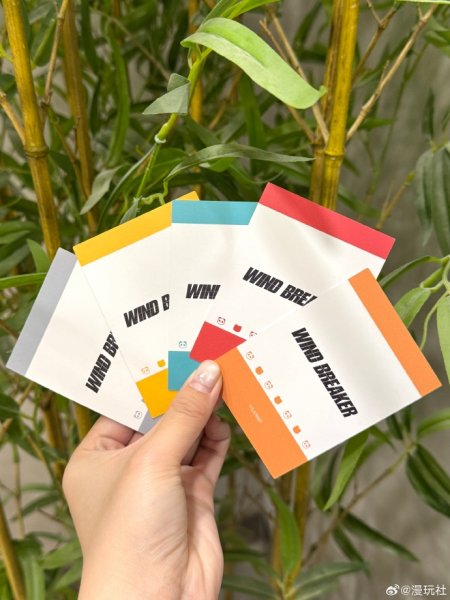 画像10: 【予約】WIND BREAKER　中国限定　星河コラボ　 パンダシリーズ　ポラロイド（入金〆切5日以内・40日ほど発送予定） (10)