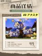 画像9: 【予約】WIND BREAKER　中国限定　GOODSLOVEコラボ　グッズ（入金〆切7日以内） (9)