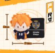 画像12: 【予約・現品】排球少年!!　中国限定　共鳴コラボ　ハイキュー!! ゴミ捨て場の決戦　ぬいぐるみバッジ（入金〆切7日以内） (12)