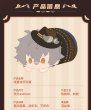 画像5: 【再販予約現品・なくなり次第終了】偶像梦幻祭　中国限定　絵星絵楽マスコット （入金〆切3日以内) (5)