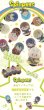 画像8: 【予約】偶像梦幻祭　中国限定　万代南夢宮コラボ　ピーナッツ型だるまvol.1 A組　BOX（入金〆切5日以内) (8)