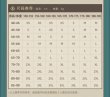 画像9: 【現品予約】崩壊スターレイル　中国限定　アベンチュリン イメージシリーズ　シャツ（入金〆切7日以内)  (9)