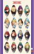 画像3: 【再販予約】偶像梦幻祭　中国限定　TRIPアクキー　銀袋ブラインド（入金〆3日以内) (3)