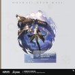 画像3: 【予約現品】崩坏：星穹铁轨　中国限定　壊滅運命シリーズ　アクリルスタンド（入金〆切7日以内） (3)