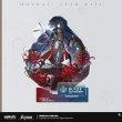画像9: 【予約現品】崩坏：星穹铁轨　中国限定　壊滅運命シリーズ　アクリルスタンド（入金〆切7日以内） (9)
