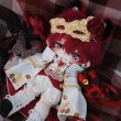 画像9: 【予約現品・なくなり次第終了】ぬい服　荊棘の棺（入金〆切7日以内） (9)